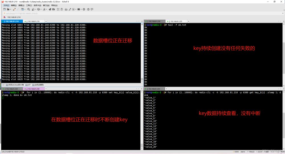Redis Cluster集群收縮主從節(jié)點(diǎn)詳細(xì)教程