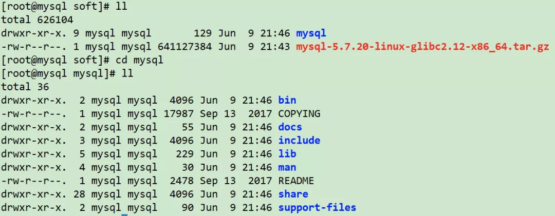 Linux 安裝 MySQL 詳細教程