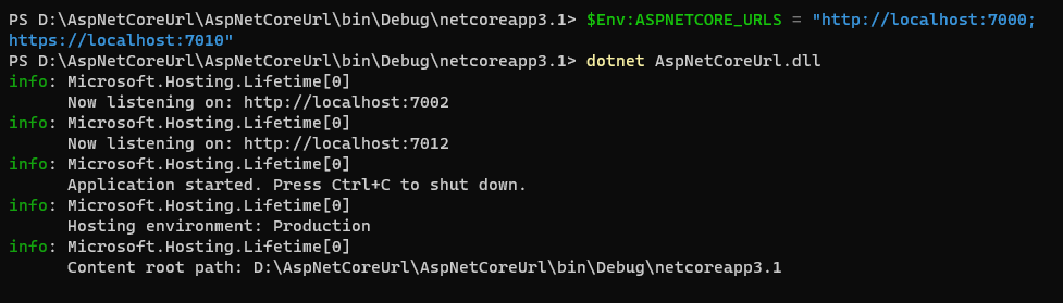 ASP.NET Core設置URLs的五種方法