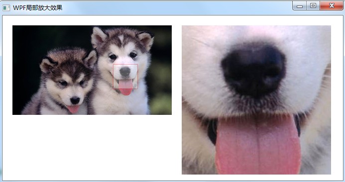 WPF/Silverlight實(shí)現(xiàn)圖片局部放大的方法分析