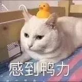 中秋送禮分配不均這款python刮刮卡完美解決問題
