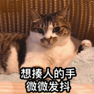 Python:一行代碼,導入Python所有庫