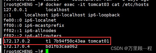 Docker link實現容器互聯的方式