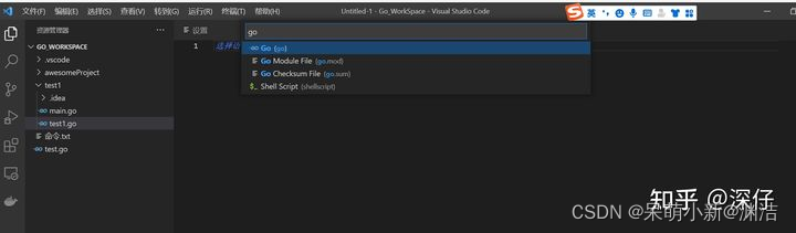 vscode搭建go開發環境案例詳解
