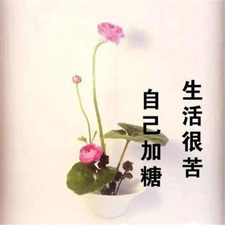 看淡一切善待自己治愈風景圖片 可以很愛別人但是要更愛自己