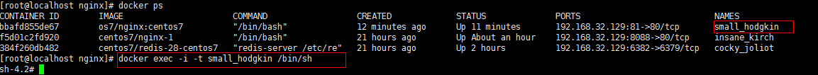 CentOS7 Docker Nginx部署及運行詳解