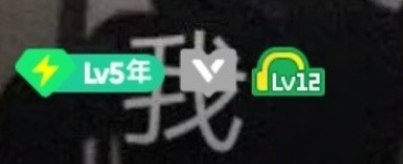 qq音樂12級是什么意思？qq音樂12級是多少分鐘？要聽多少歌？