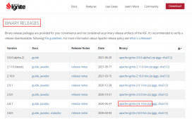 SpringBoot整合Apache Ignite的實現