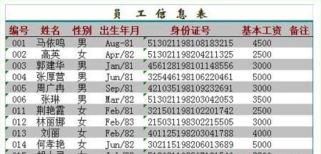 Excel輸入身份證號(hào)顯示不全怎么辦?Excel輸入身份證號(hào)技巧分享