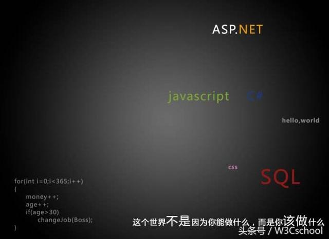 先學C語言還是Python？資深程序員往往是這樣建議的！