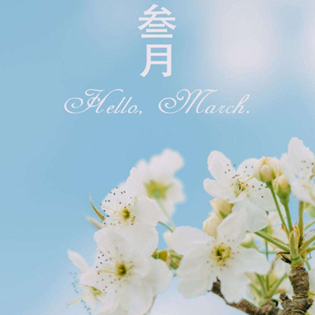 2022二月再見三月你好圖片唯美 告別二月迎接新的三月素材合集