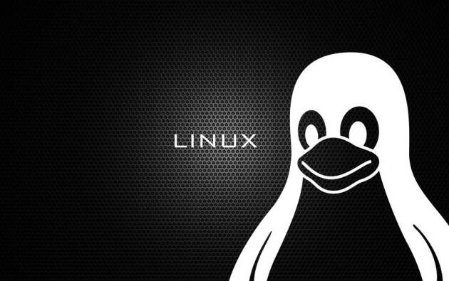 有效學(xué)習(xí)Linux系統(tǒng)的4個方法