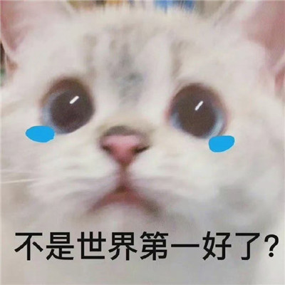 2022最新版必備趣味聊天表情 小嘴恰屁了這么臭表情包
