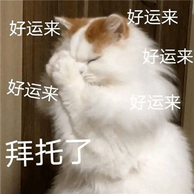 好運連連的祝福表情可愛 給你帶來好運的微信聊天表情