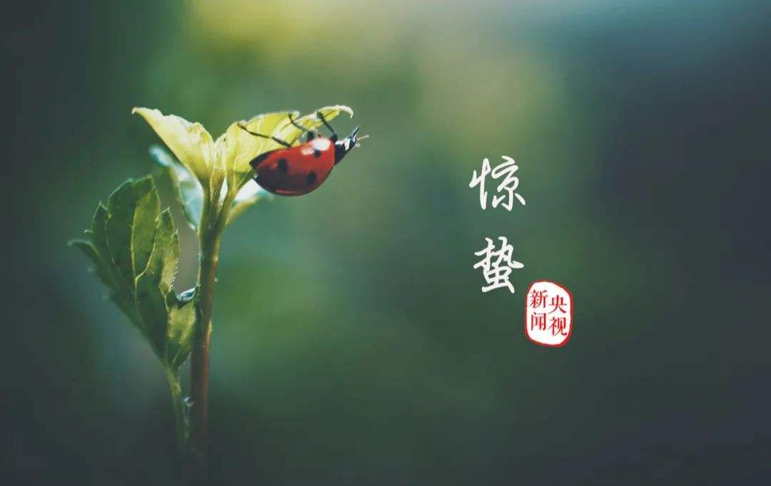 2022驚蟄節氣是哪天？2022驚蟄是幾月幾日幾點