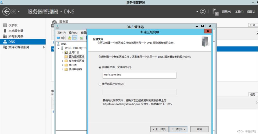 教你搭建dns服務器(圖文教程)