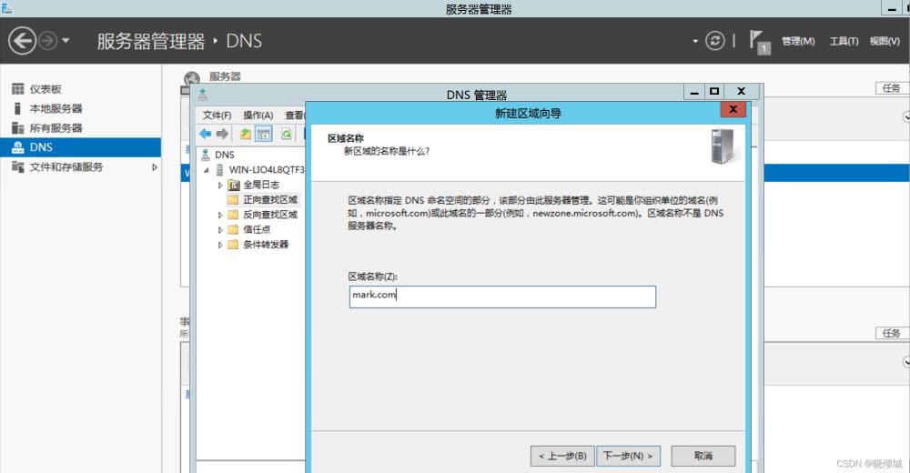 教你搭建dns服務器(圖文教程)