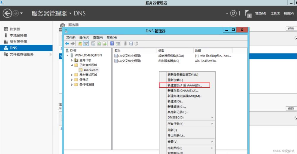 教你搭建dns服務器(圖文教程)