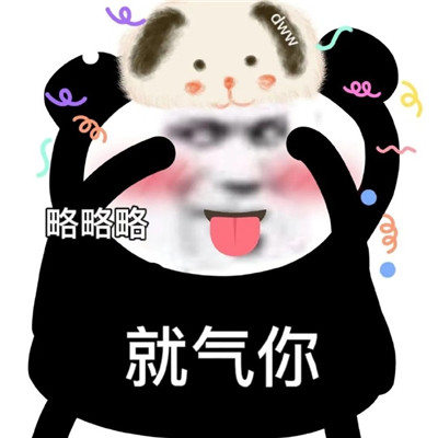 最新版熊貓頭搞笑表情大全 新來的檢查下你的核酸證明