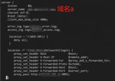 關于Nginx中虛擬主機的一些冷門知識小結