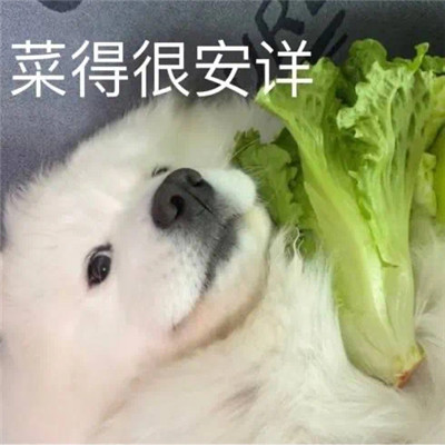 最新版笑死人的qq趣味表情 又到了乖寶寶睡覺的時間了