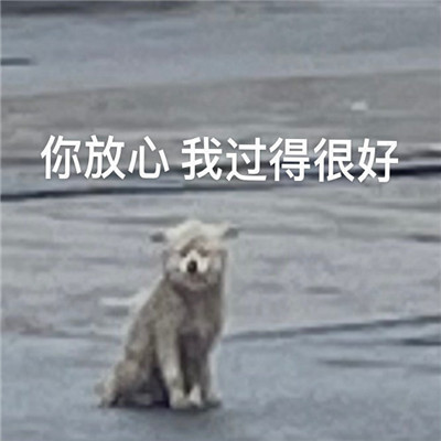 熱門表情2022全新很搞笑 魚(yú)哭了水知道我哭了誰(shuí)知道