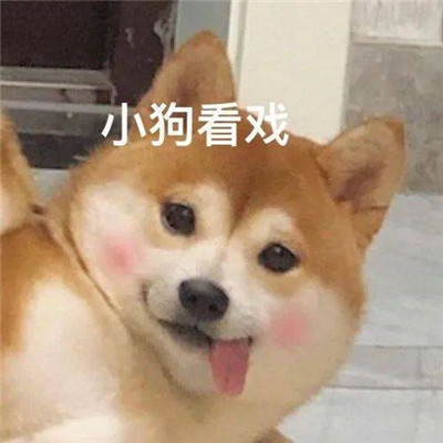 熱門表情2022全新很搞笑 魚(yú)哭了水知道我哭了誰(shuí)知道