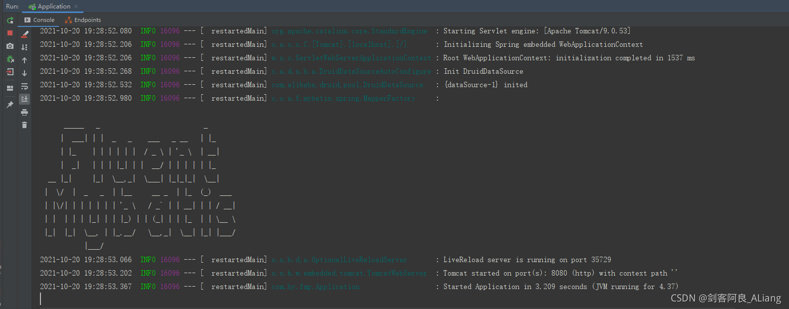 Java Fluent Mybatis 項目工程化與常規操作詳解流程篇 上