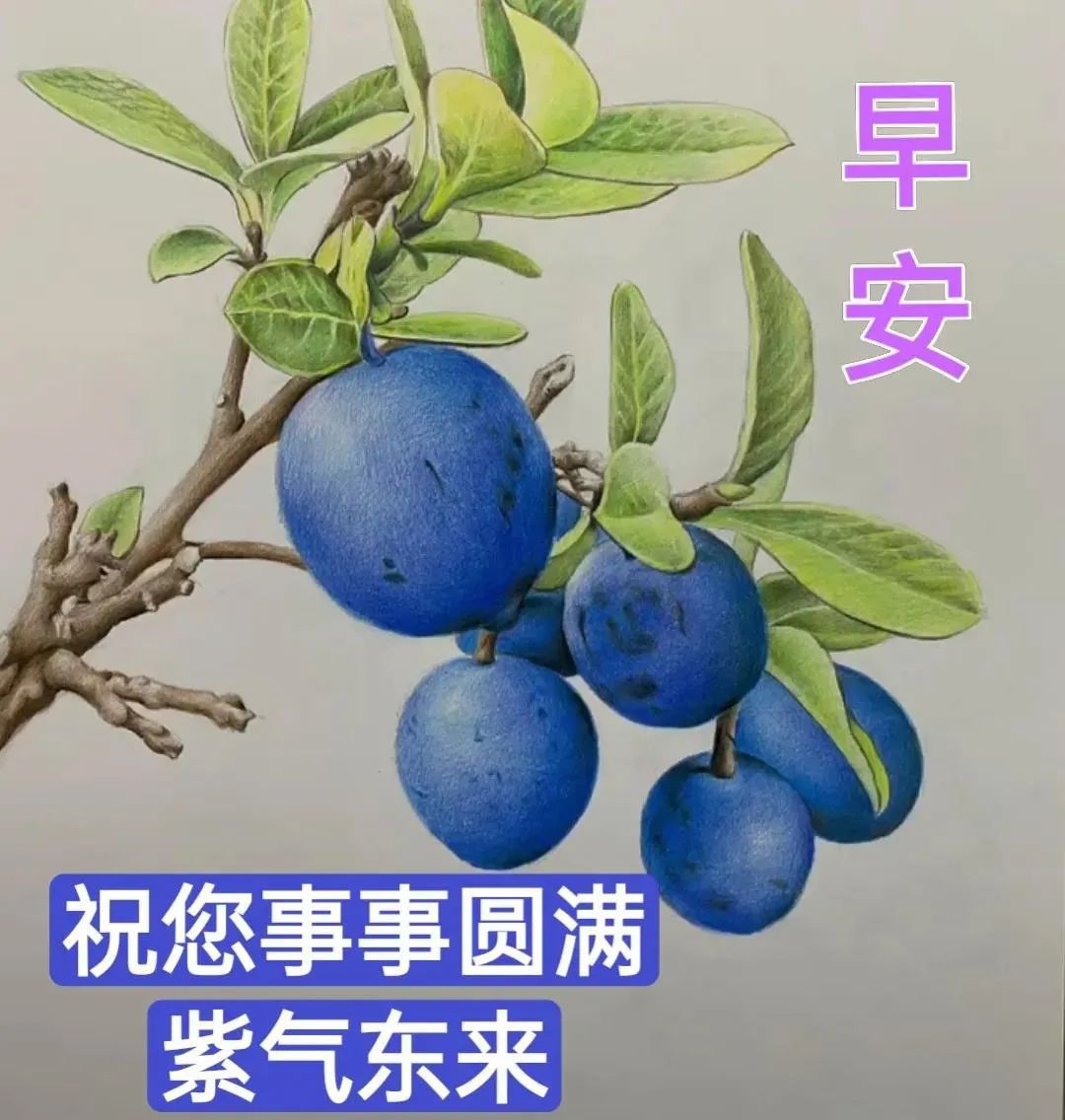 早上好圖片 最新圖片_2022早安最火圖片_早上好各種圖片大全