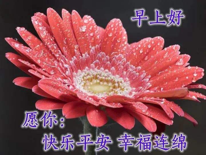 早上好圖片 最新圖片_2022早安最火圖片_早上好各種圖片大全