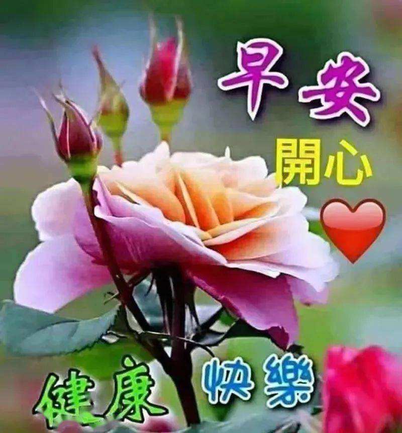 早上好圖片 最新圖片_2022早安最火圖片_早上好各種圖片大全