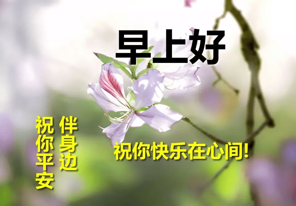 早上好圖片 最新圖片_2022早安最火圖片_早上好各種圖片大全