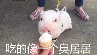 臭居居是什么梗 網絡用語臭居居是什么意思