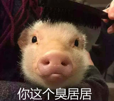 臭居居是什么梗 網絡用語臭居居是什么意思