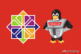 Oracle Linux 能否成為企業級 CentOS 的替代品？