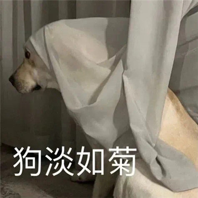 最新版群聊用的表情包大全 這個群讓我感到好迷茫