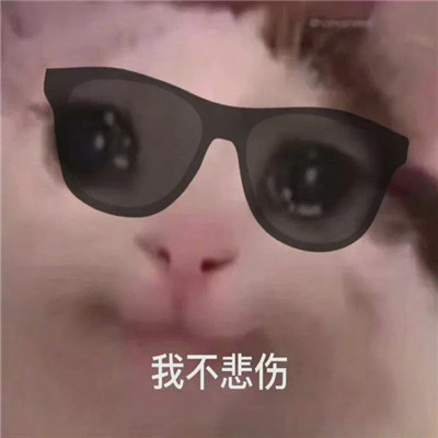 最新版群聊用的表情包大全 這個群讓我感到好迷茫
