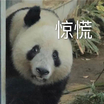 最新版群聊用的表情包大全 這個群讓我感到好迷茫