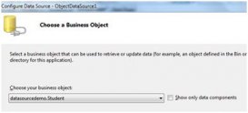 ASP.NET 數(shù)據(jù)源
