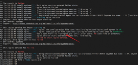 CentOS7---Nginx安裝并配置虛擬主機