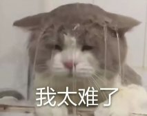2模版_你還只會套PPT模版嗎？|大學(xué)生PPT進階指南（附免費資源amp;教程）