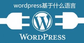 WordPress的數據表(wordpress用的什么語言)