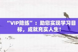 “VIP陪練”：助您實現(xiàn)學(xué)習(xí)目標(biāo)，成就充實人生！