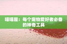 喵喵屋：每個寵物愛好者必備的神奇工具