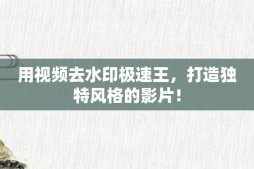 用視頻去水印極速王，打造獨(dú)特風(fēng)格的影片！
