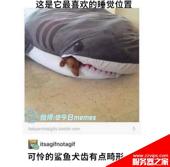 上帝視角才能看到的 男孩子頭像變化的囧圖