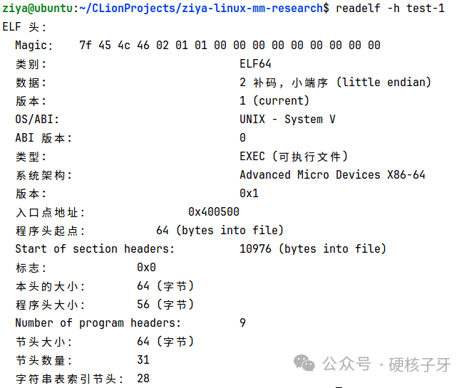 實(shí)戰(zhàn)講解Linux進(jìn)程內(nèi)存空間