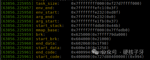 實(shí)戰(zhàn)講解Linux進(jìn)程內(nèi)存空間