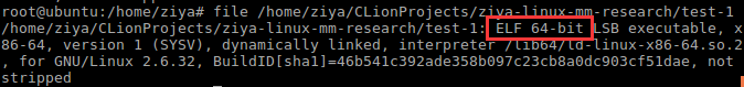 實(shí)戰(zhàn)講解Linux進(jìn)程內(nèi)存空間