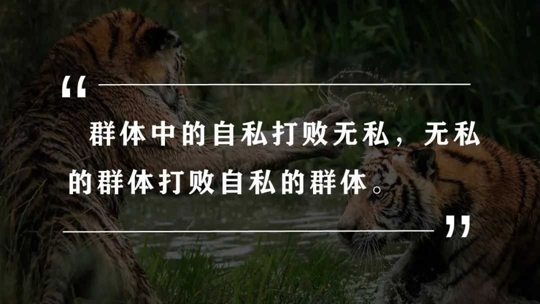 2模版_你還只會套PPT模版嗎?|大學生PPT進階指南(附免費資源amp;教程) 2模版_你還只會套PPT模版嗎?|大學生PPT進階指南(附免費資源amp;教程)